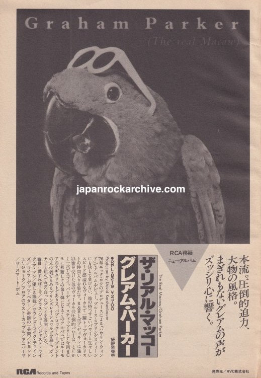 Graham Parker The Real Macaw October 1985 Japanese magazine album promo ad