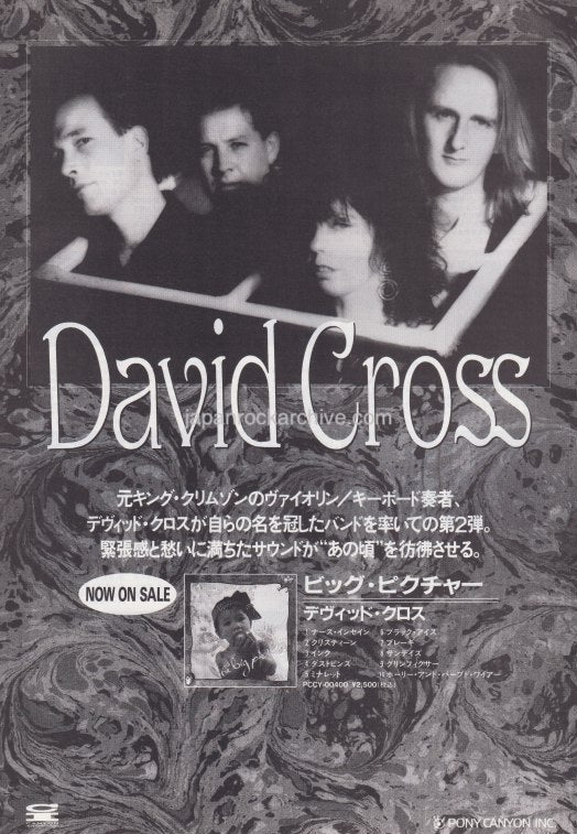 The David Cross Collection