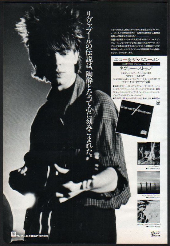 The Echo & The Bunnymen Collection