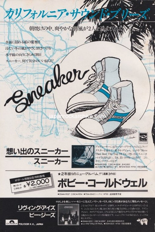 The Sneaker Collection