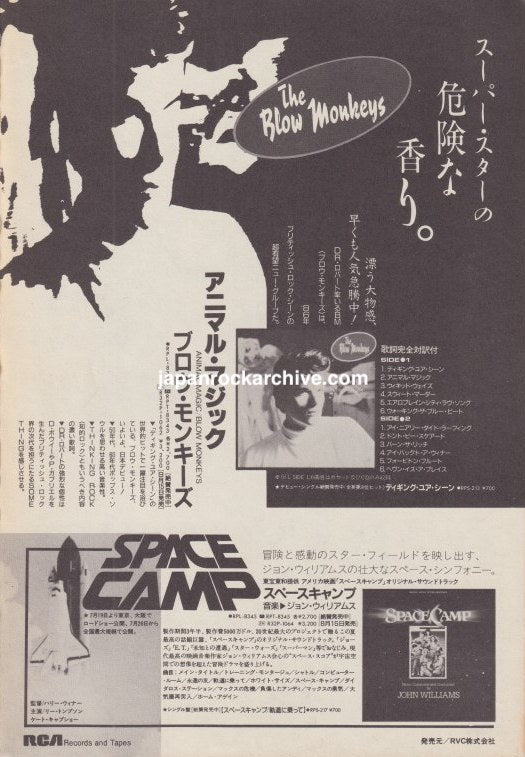 The Blow Monkeys 1986 Animal Magic Japanese magazine album promo ad