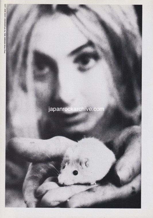 Daisy Chainsaw 1993/01 Japanese music press cutting clipping - photo pinup - katy jane