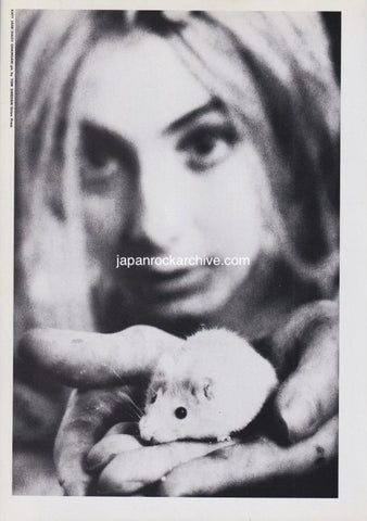 Daisy Chainsaw 1993/01 Japanese music press cutting clipping - photo pinup - katy jane