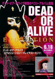 Dead Or Alive 2003 Japan album store promo flyer