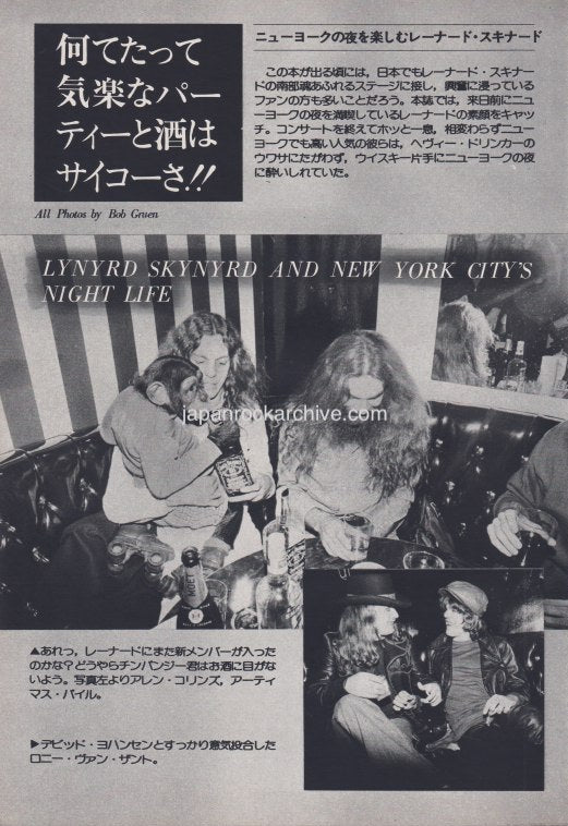 Lynyrd Skynyrd 1977/02 Japanese music press cutting clipping - photo pinup - new york night life