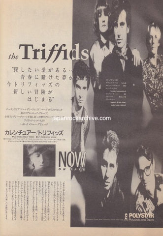 The Triffids 1988/04 Calenture Japan album promo ad