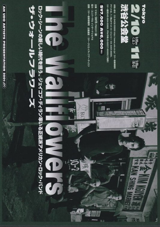 The Wallflowers 2001 Japan tour concert gig flyer handbill