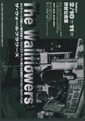 The Wallflowers 2001 Japan tour concert gig flyer handbill