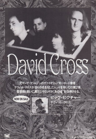 David Cross 1993/01 The Big Picture Japan album promo ad