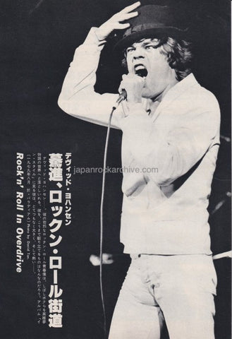 1979 Japanese David Johansen New York Dolls photo pinup poster